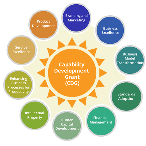 The Capability Development Grant (CDG)